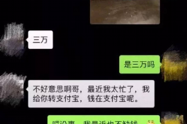 金湖如何避免债务纠纷？专业追讨公司教您应对之策